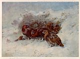 Archibald Thorburn Famous Paintings - Grouse Sheltering